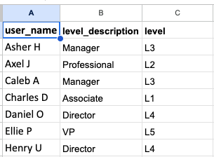 User Name & Level Description - Employee Roster Tab.png